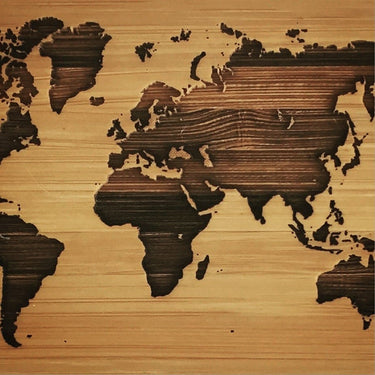 WORLD iPhone Air Backcase